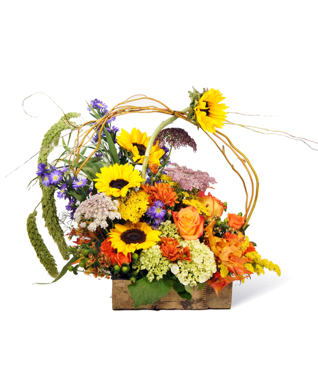Homespun Harvest