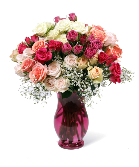 Mother's Roses