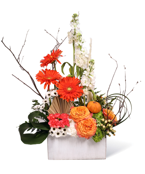 Funeral & Sympathy