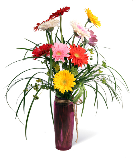Favorite Daisies