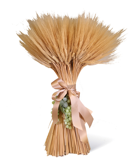 Bountiful Wheat