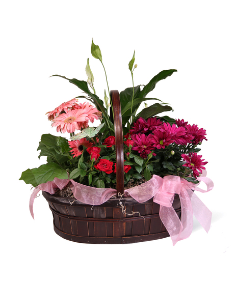 Bright Blooming Basket