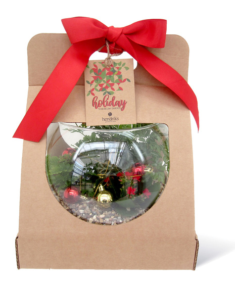 Holiday Terrarium Uniontown, PA