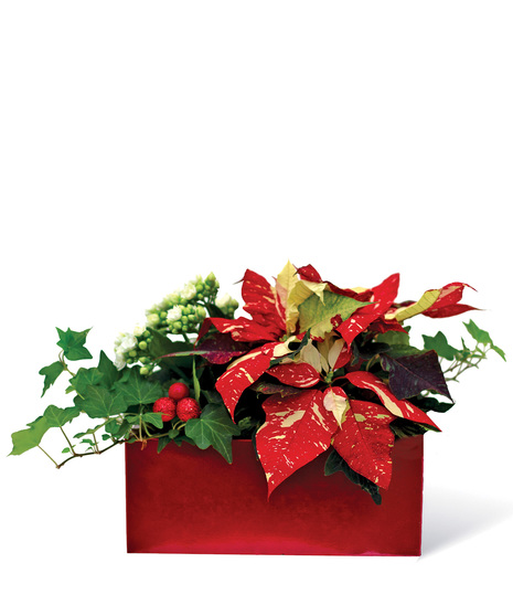Festive Garden Centerpiece Uniontown, PA