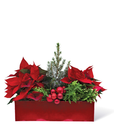 Festive Garden Centerpiece Uniontown, PA