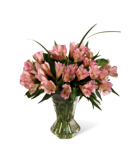 Alstro Emeria