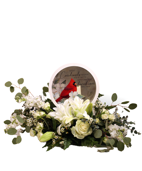 Cardinals Shadow Box