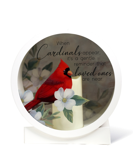 Cardinals Shadow Box Uniontown PA