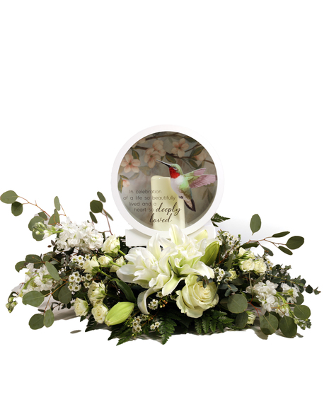 Hummingbird Shadow Box