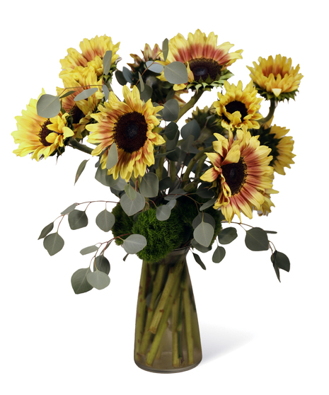 Sunflower Burst
