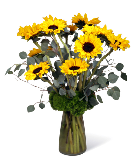 Sunflower Loving