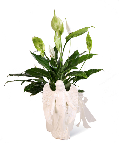 Ceramic Angel Planter