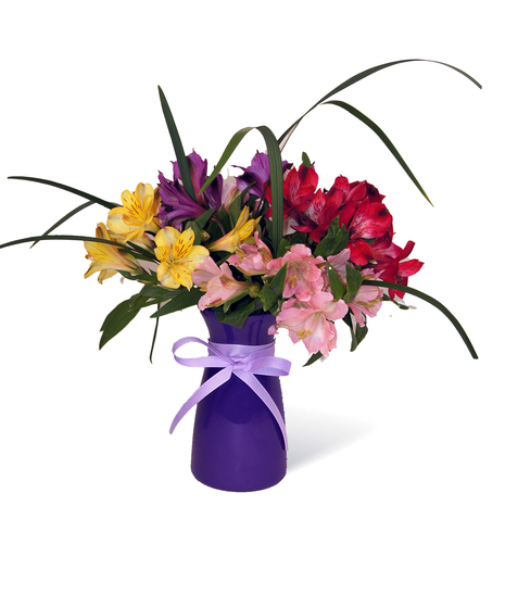 Alstroemeria Cheerful Color Vase Uniontown PA