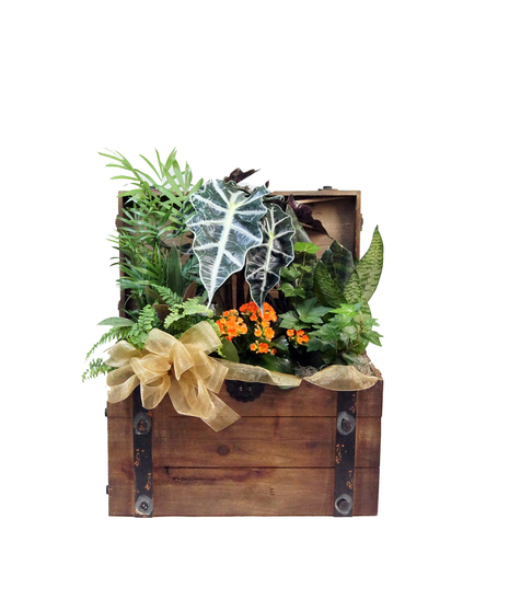 Garden Trunk