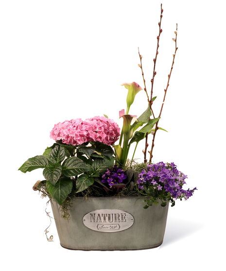 Nature Tin Basket