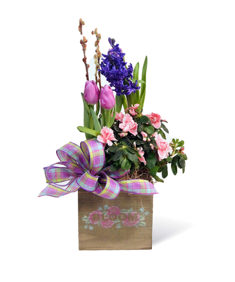 Easter Bloom