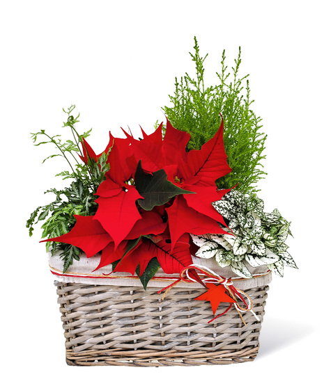 Farmhouse Wicker Garden