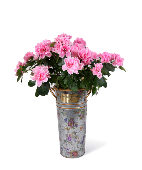Flower Market Galvanized Bucket Set Uniontown, PA