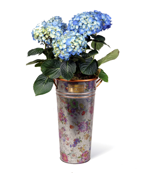 Flower Market Galvanized Bucket Set Uniontown, PA