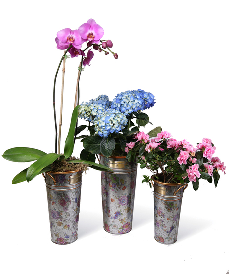 Flower Market Galvanized Bucket Set Uniontown, PA