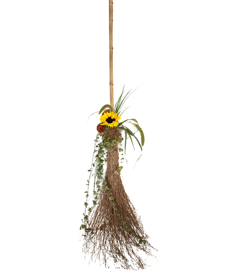 Harvesting Broom