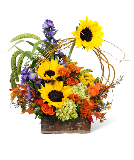 Homespun Harvest