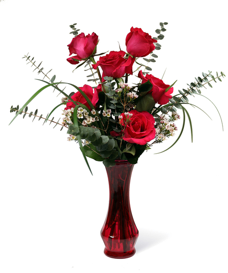 Simply Enchanting Roses