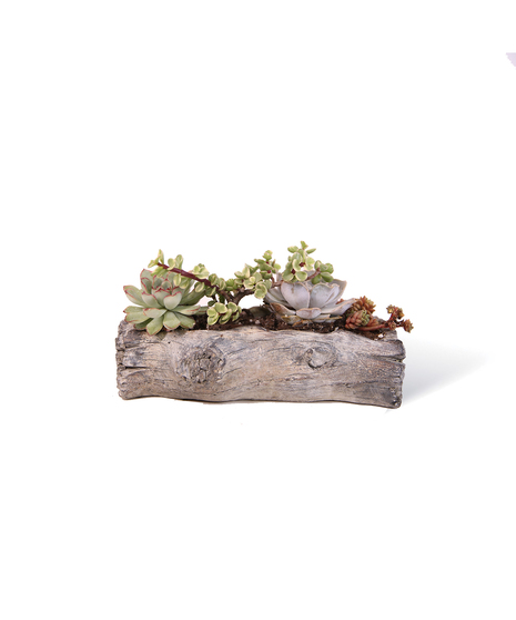 Ceramic Succulent Gardens