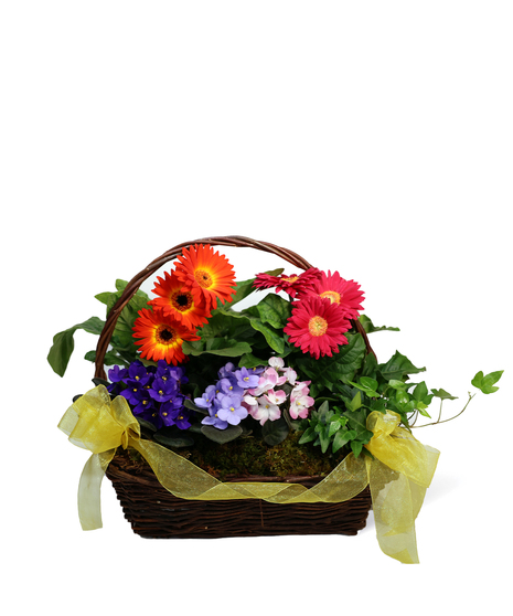 Sunshine Basket Uniontown Gifts