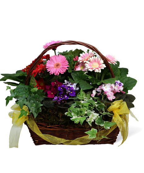 Sunshine Basket