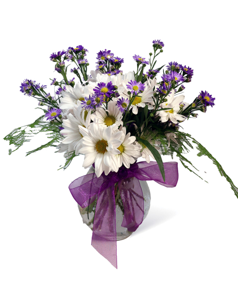 Dainty Daisys Uniontown PA Flowers
