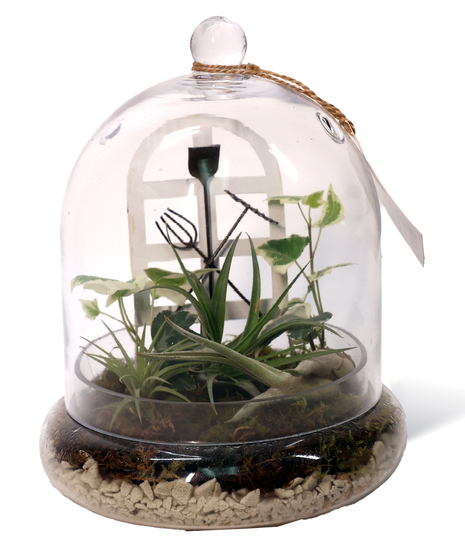 Garden Trellis Terrarium