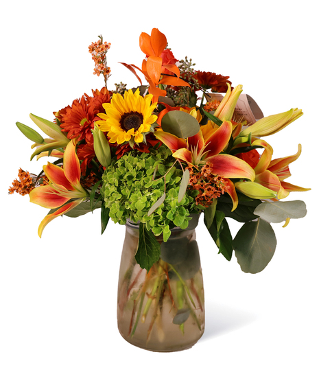 Autumn Creation