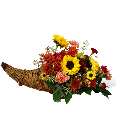 Bountiful Cornucopia