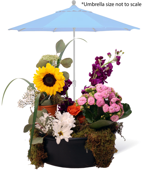 Party Under My Umbrella