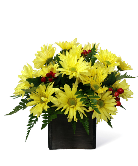 Daisy Box
