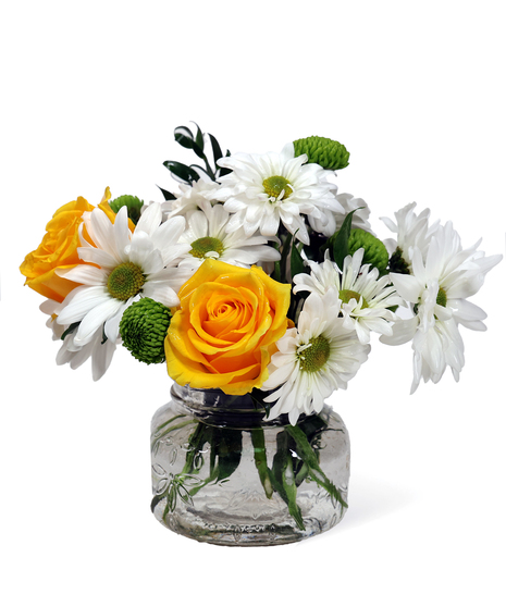 Daisy Delight
