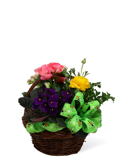 Blooming plants in a woven basket