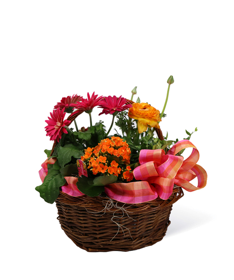 Blooming Basket