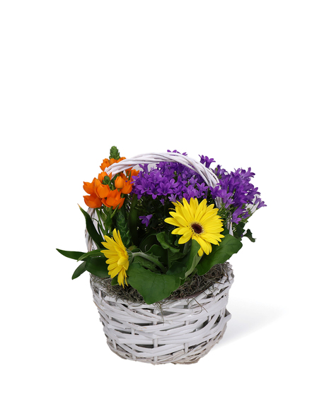 Blooming Baskets Uniontown Flowers