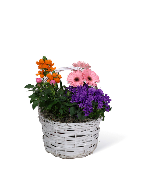 Blooming Baskets Uniontown Flowers