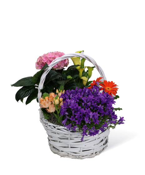 Blooming Baskets Uniontown Flowers