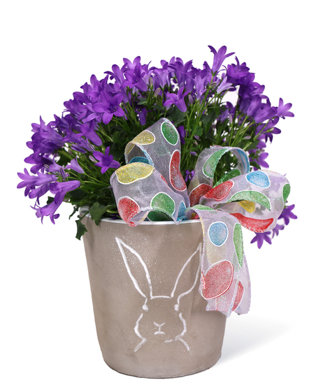 Bunny Pot Uniontown Flowers