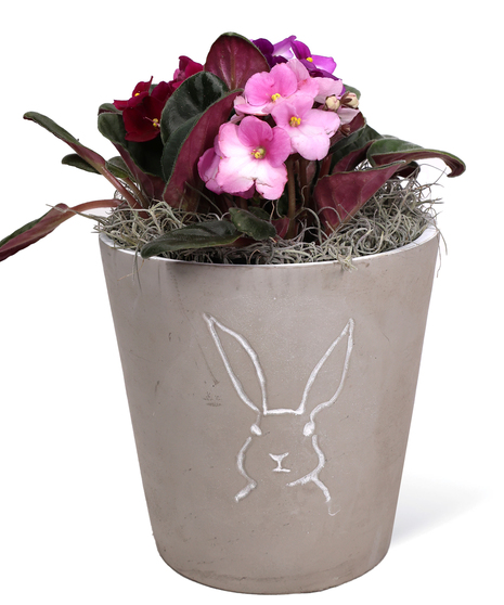 Bunny Pot