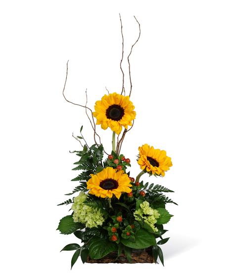 Larger Than Life Neubauer's Flowers