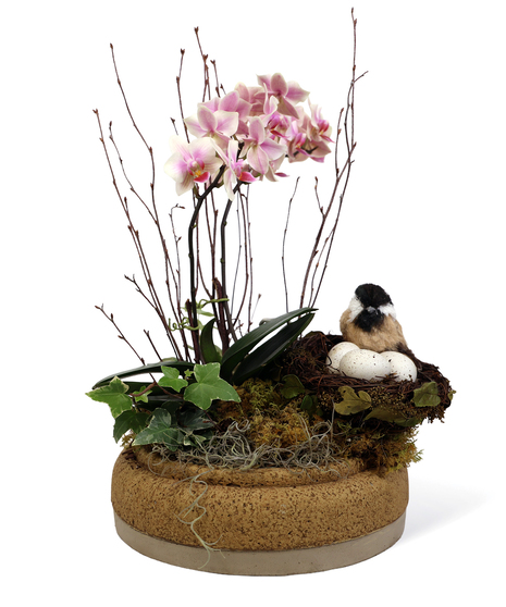 Chickadee