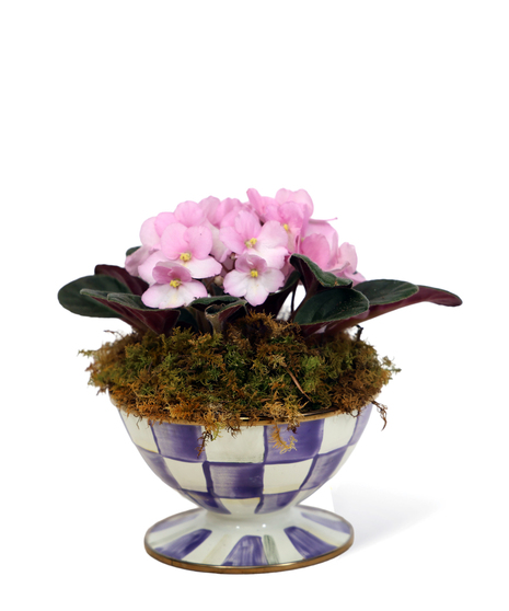 Mackenzie Childs - Violet Check Ice Cream Bowl Uniontown Gifts