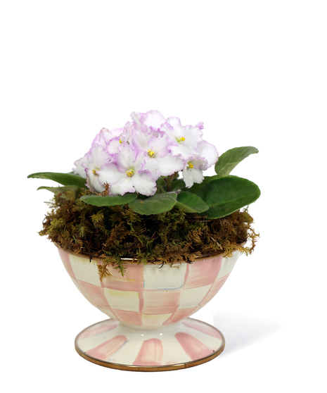 Mackenzie Childs - Violet Check Ice Cream Bowl Uniontown Gifts