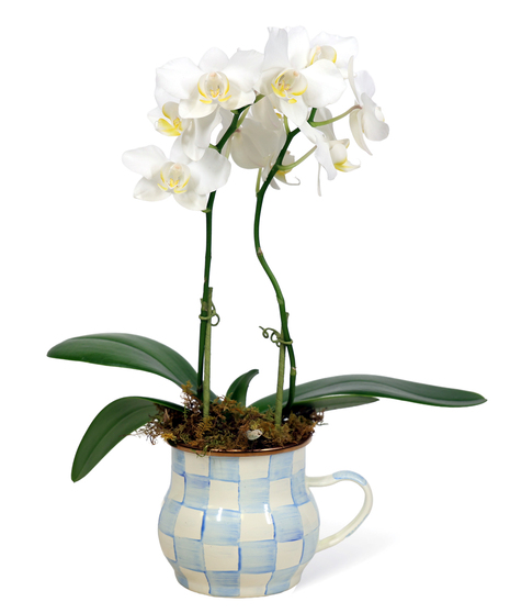Mackenzie Childs Orchids Cup Uniontown Gifts
