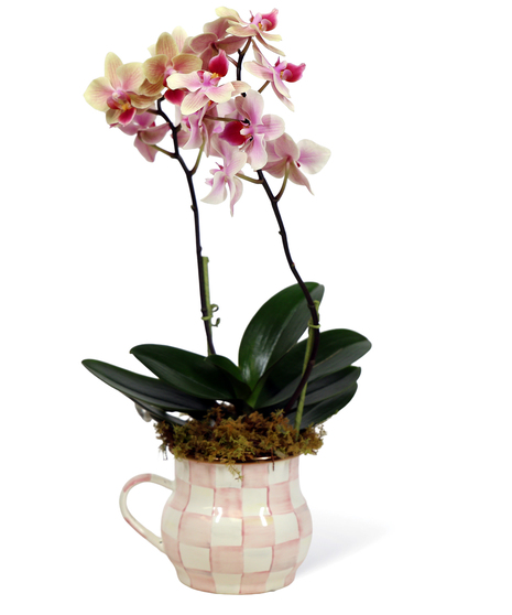 Mackenzie Childs Orchids Cup Uniontown Gifts